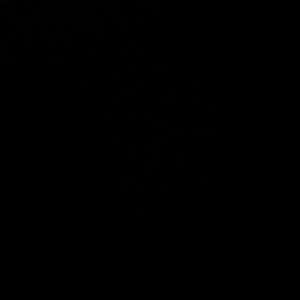 Meet Your Posher, Walker